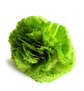 Flamenco Oeillet Fleur Cheveux Ø9cm Vert Clair 4