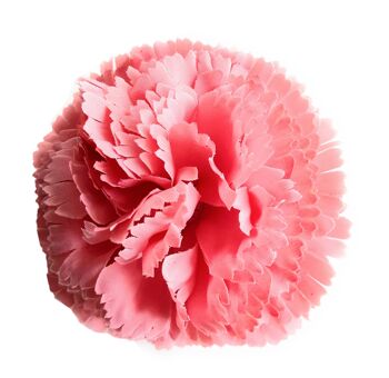 Flamenco Oeillet Fleur Cheveux Ø9cm Bubble Gum Rose 5
