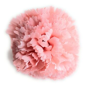 Fleur d'oeillet Flamenco Cheveux Ø9cm Rose Pastel 5