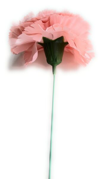 Fleur d'oeillet Flamenco Cheveux Ø9cm Rose Pastel 3