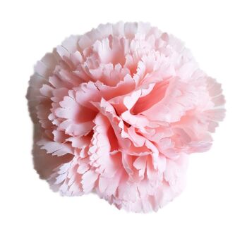 Fleur de Cheveux d'Oeillet Flamenco Ø9cm Rose Pâle 4