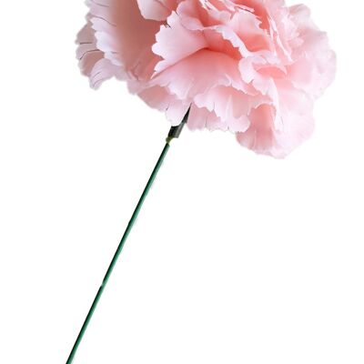Fleur de Cheveux d'Oeillet Flamenco Ø9cm Rose Pâle