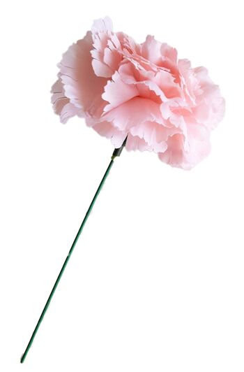 Fleur de Cheveux d'Oeillet Flamenco Ø9cm Rose Pâle 1