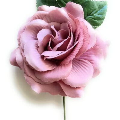 Fiore di flamenco a pelo medio Ø13cm Rosa antico