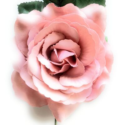 Fleur de Flamenco Cheveux Moyens Ø13cm Rose Pâle