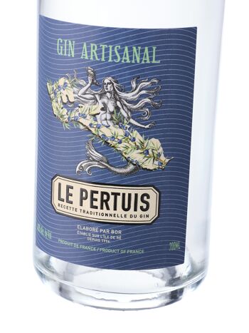 Gin classic LE PERTUIS 70cl - 40% vol. 1