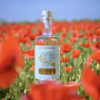 Gin aux houblons LE PERTUIS 70cl - 40% vol. 2