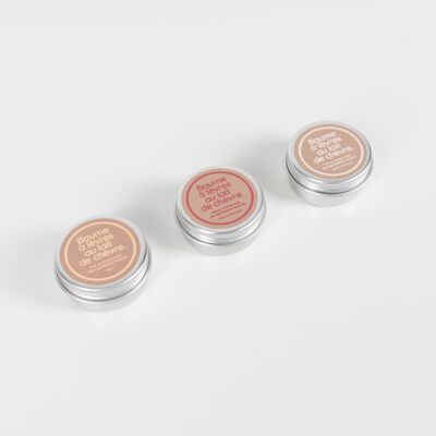 The delicate goat's milk lip balm (available in 3 flavors)