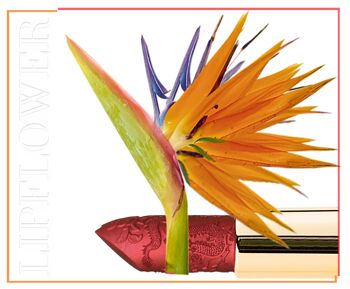 195 Strelitzie Lip Flower Lipstick 💚Cosmétiques naturels végétaliens 3