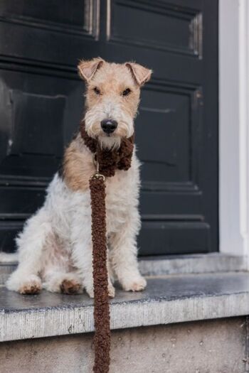 Collier Teddy Marron L 4