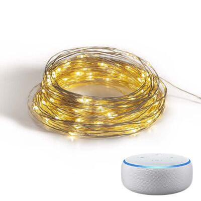 Guirlande Lumineuse Mini LED Wi-Fi 10m