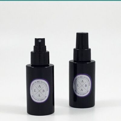 Spray ambiente recargable 100 ml - Perfume L'Eau de Raphaël