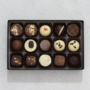 Vegan Iconic - Collection 15 Chocolats 3