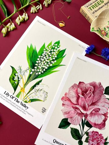 Le langage des fleurs Lily Of The Valley Giclée Print 3