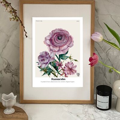 El lenguaje de las flores Ranunculus Giclée Print
