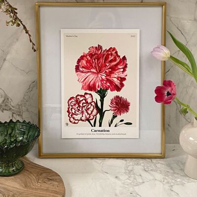 Le langage des fleurs Carnation Giclée Print
