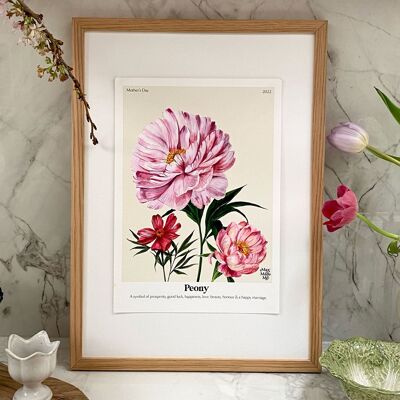 Le langage des fleurs Pivoines Giclée Print