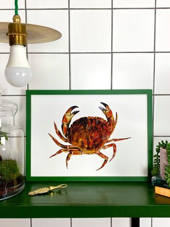 Crabe Giclée Print 1
