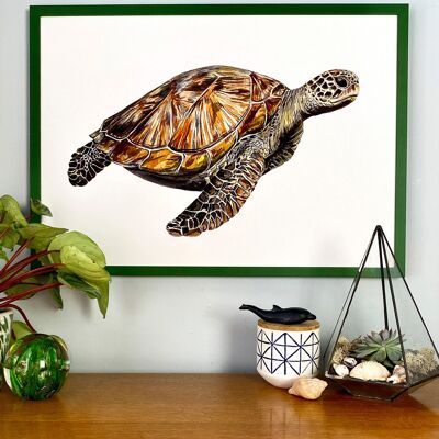Impresión Giclée de tortugas marinas