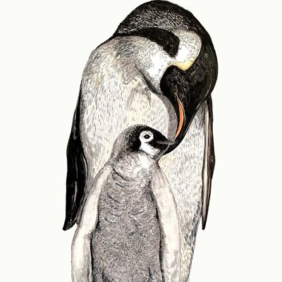 Impresión Giclée del amor del pingüino