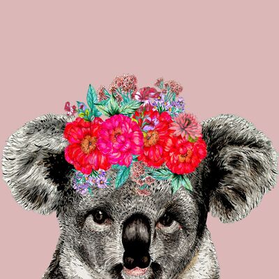 Koala auf farbigem Giclée-Druck