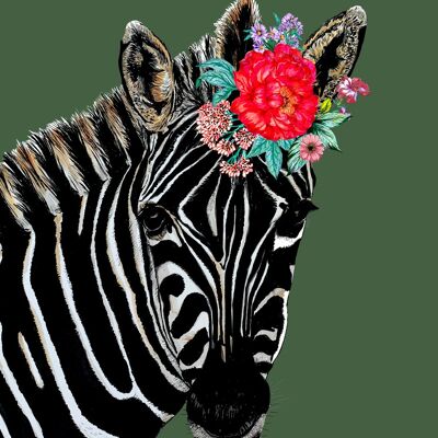 Zebra On Colour Giclée Print