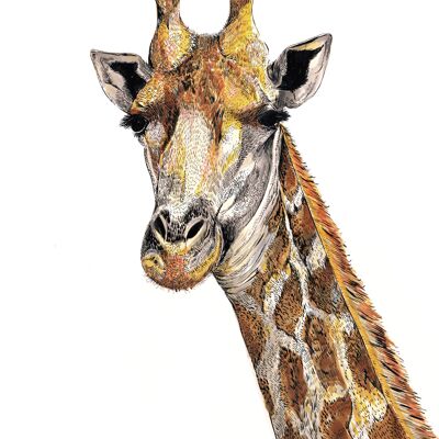 Stampa giclée giraffa