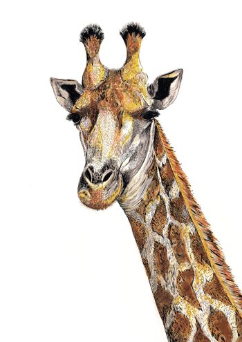 Girafe Giclée Print 1