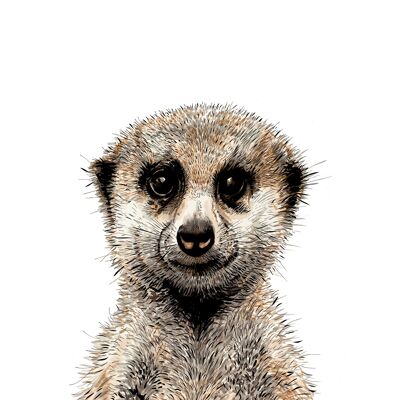 Suricate Giclée Print