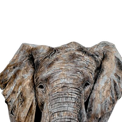 Elefante Impresión Giclée