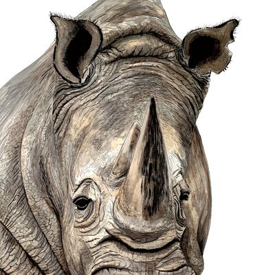 Stampa giclée di rinoceronte