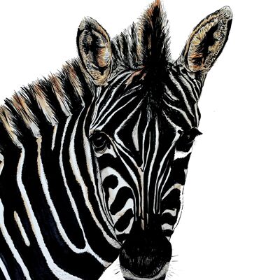 Zebra-Giclée-Druck