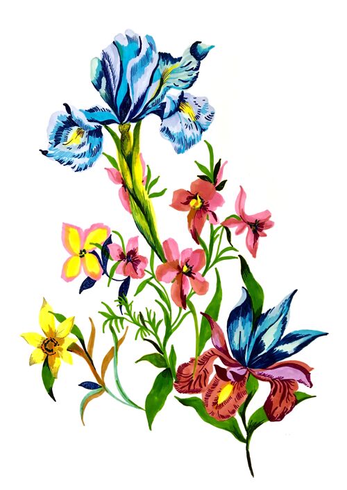 Iris Giclée Print