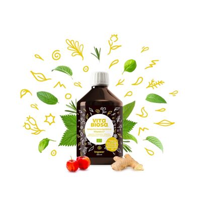 Vita Biosa Jengibre + Vitamina C 500 ml, orgánico*