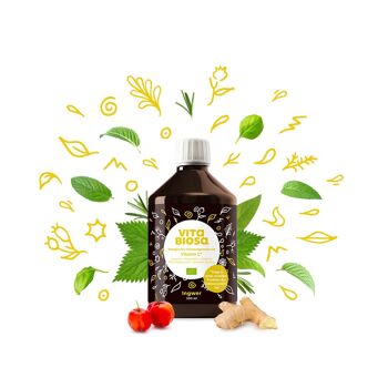 Vita Biosa Gingembre + Vitamine C 500 ml, bio*