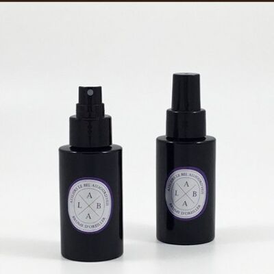 Spray d'ambiance rechargeable 100 ml - Parfum Aqua Sancta