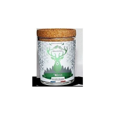 MOUNTAIN - Larch candle 180 gr