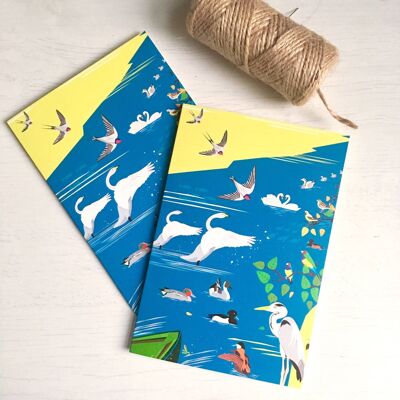 London Greeting Cards, The Birds of London