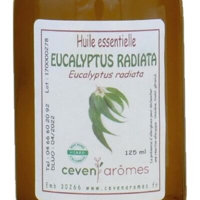 125 ml di olio essenziale di eucalipto radiata