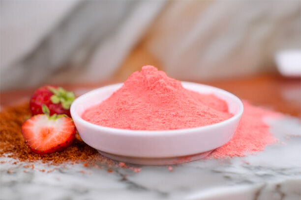 Organic European Strawberry Powder - Fruity Excellence - 200g - HECOSFAIR