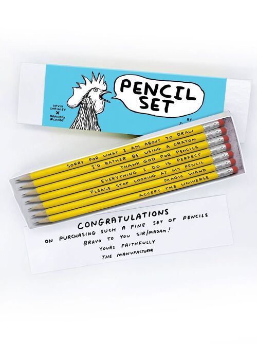 Pencils (Gift Boxed) - Funny Pack of 7 Pencils, Mixed Designs (Set 3)