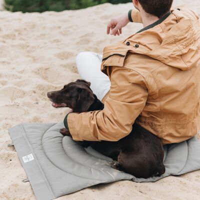 dog travel blanket. compass