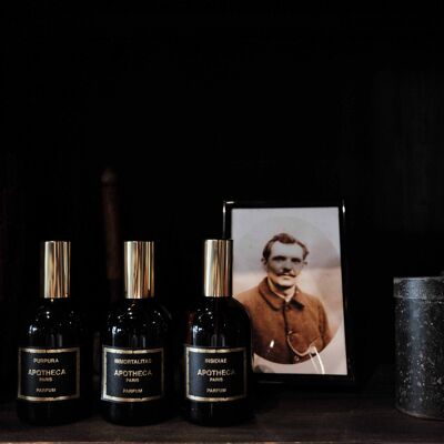 ROOM SPRAY 100ml - SILVA scent (leather and pine) APOTHECA