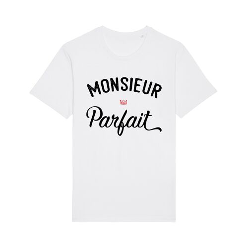 Tshirt blanc monsieur parfait