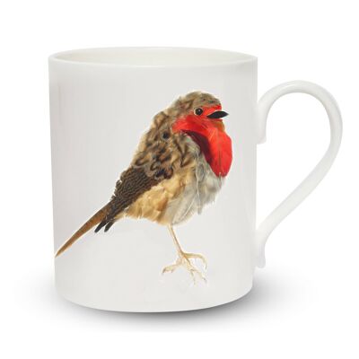 Robin Pop Mug