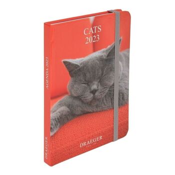 Agenda de poche CHATS 2023 1