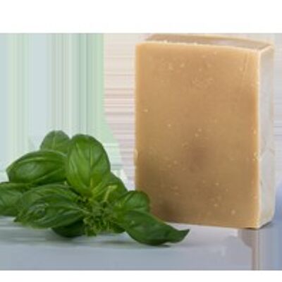 Shampoo surgras freddo solido con 6 piante ayurvediche - Purificante e lenitivo