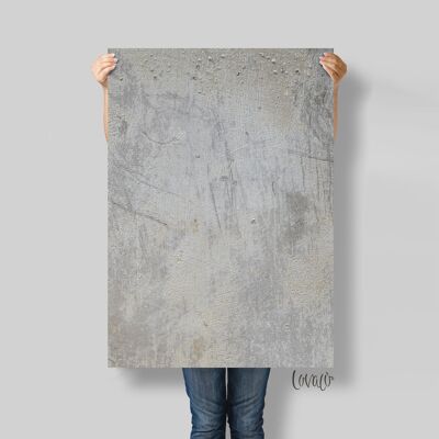 Photography Backdrop old gray stoneLov3031