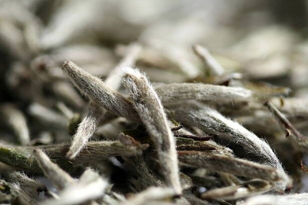 Thé Blanc Bio White Monkey De Chine - 40g - HECOSFAIR