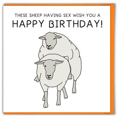 Funny Rude Sheep Sex Birthday Card